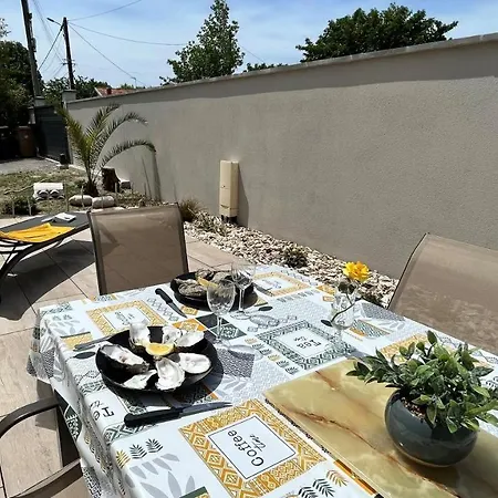 Maison Terrasse Jardin Sans Vis-a-vis Parking Animaux Acceptes * Gujan-Mestras