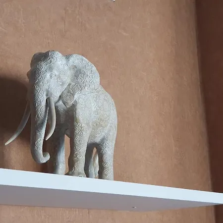 Maison Terrasse Jardin Sans Vis-a-vis Parking Animaux Acceptes